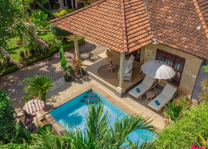 Tropical Oasis Lovina